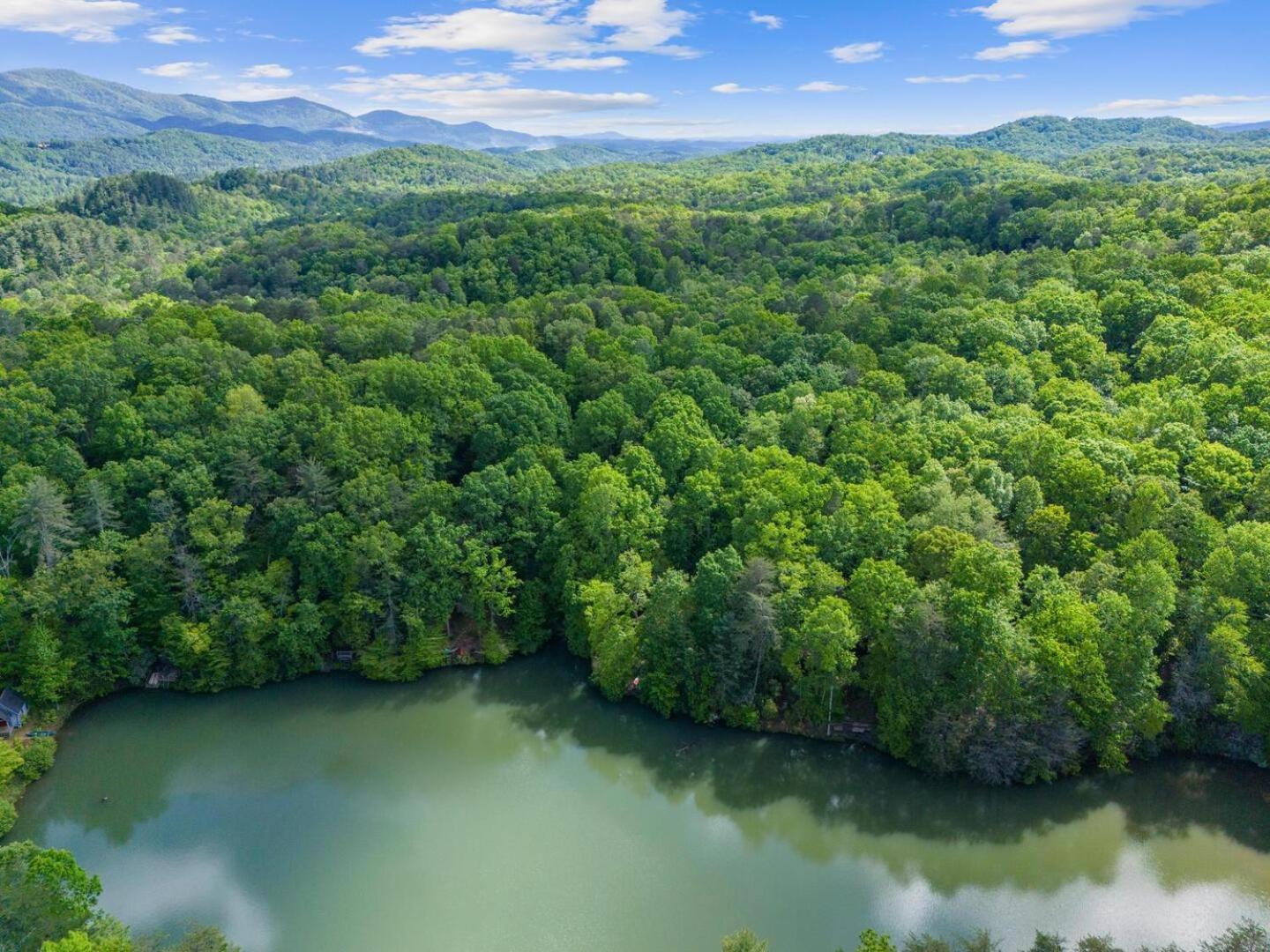 Cherry Lake Hideaway Blue Ridge Exteriér fotografie